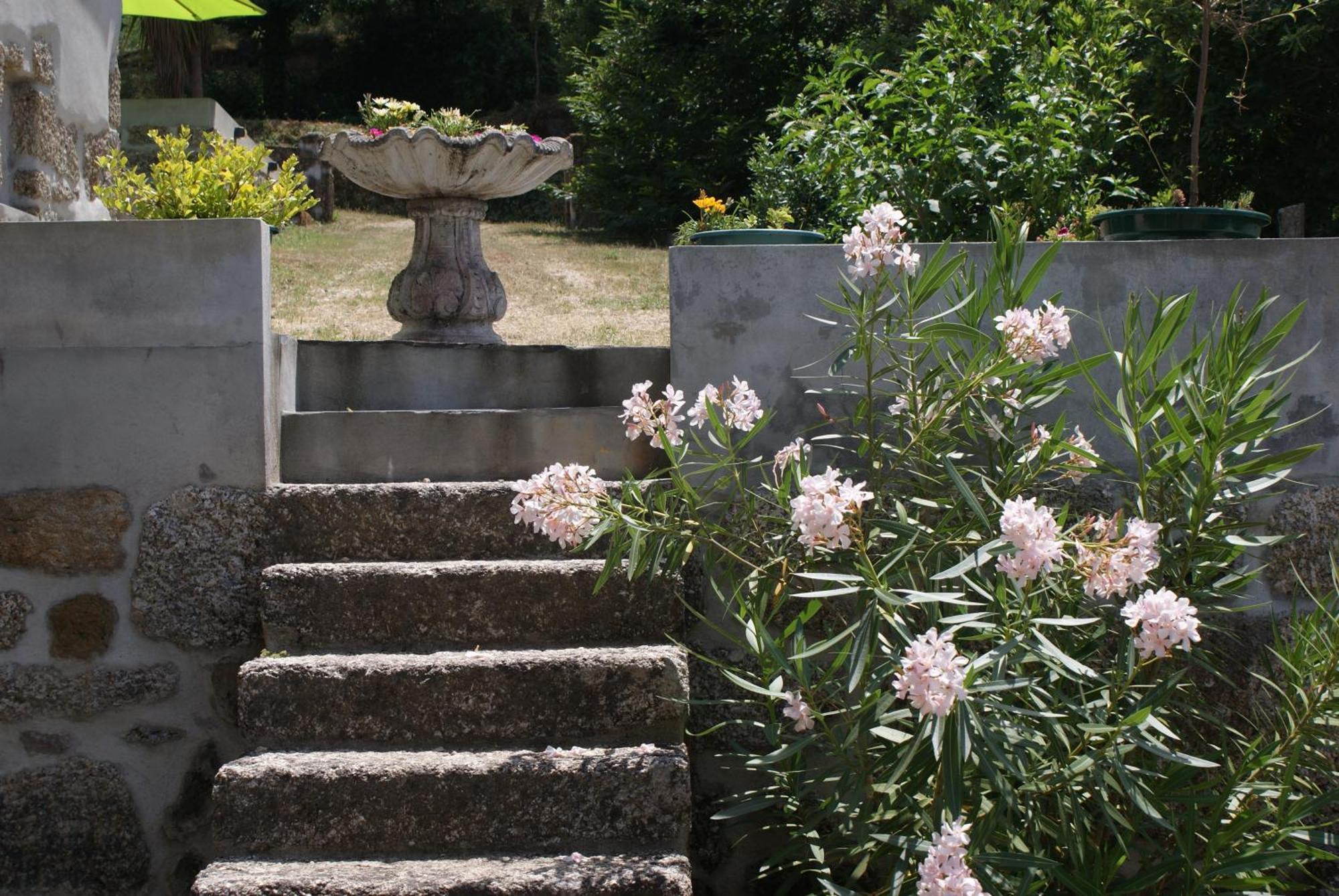 Quinta Da Encavalada Vila Nogueira do Cravo Exterior foto
